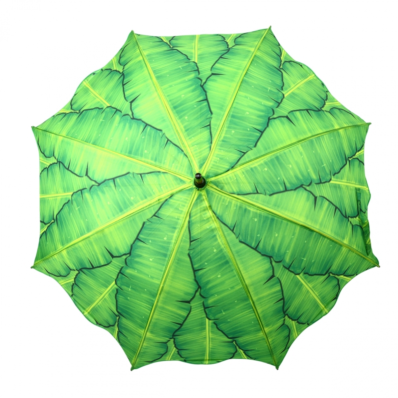 deštník zelený